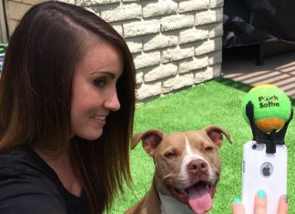 狗兒乖乖拍照的利器! 超萌照不失手~ 自拍狗5