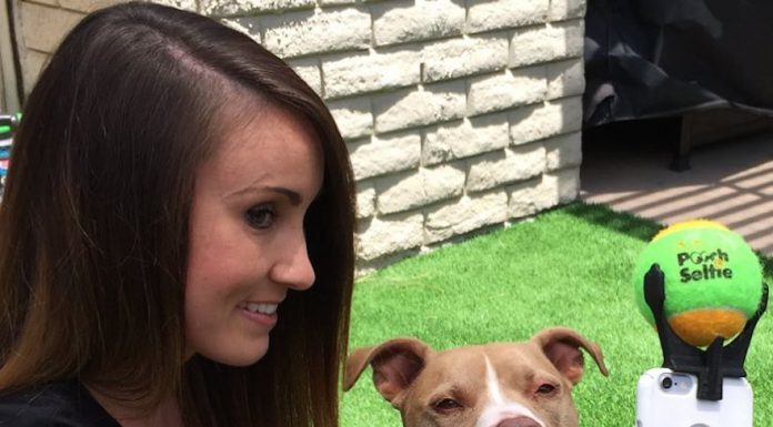 狗兒乖乖拍照的利器! 超萌照不失手~ 自拍狗5