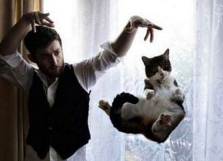 捕捉貓咪的一瞬間~ 第一張照片是誰殺了這隻黃貓??!!! 魔術貓