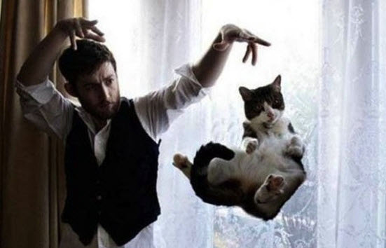 捕捉貓咪的一瞬間~ 第一張照片是誰殺了這隻黃貓??!!! 魔術貓