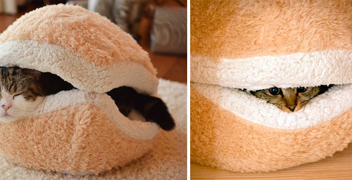 給貓一個棲息的空間吧! 貓專屬的家具設計~ 貓咪的漢堡床