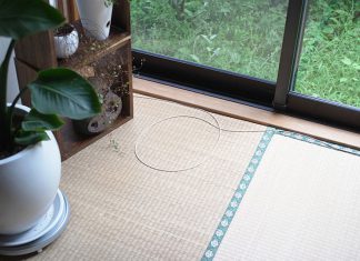 3個簡單步驟製作捕捉貓咪的陷阱! 捕捉貓咪的陷阱13