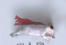 狗的藝術創作撫平主人失落的心! 畫插畫的狗9