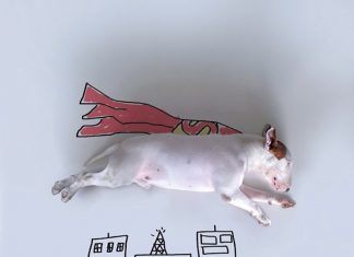 狗的藝術創作撫平主人失落的心! 畫插畫的狗9