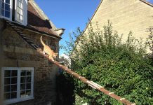 當房東禁止為貓改造房子,這位天才為貓做了一個驚人的設計! 天梯