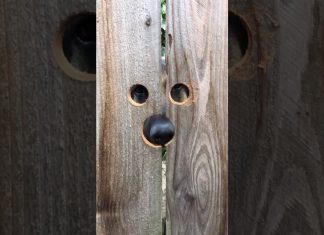 全新的體驗~這隻狗專屬的偷窺洞!~One Size!!