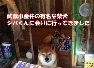 日本狗店長,一隻超強的推銷員!