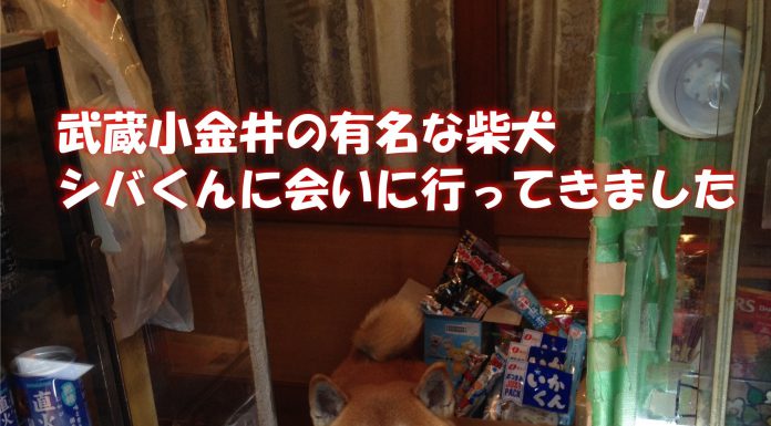 日本狗店長,一隻超強的推銷員!