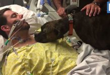 慟! 臨終前的心願,約好下輩子要再相見~