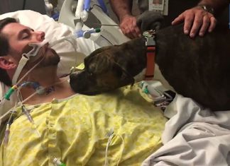 慟! 臨終前的心願,約好下輩子要再相見~