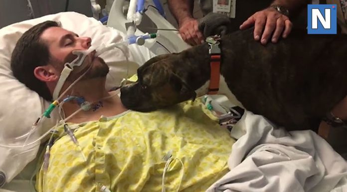 慟! 臨終前的心願,約好下輩子要再相見~