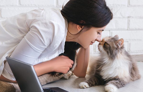 七種表達愛意的貓~~ 表達愛意的貓